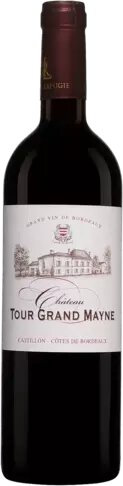 Chateau Tour Grand Mayne Castillon