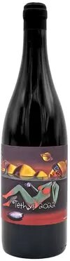 Martin Vajcner Tethys Morava White Wine