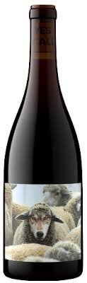 In Sheep's Clothing Pinot Noir