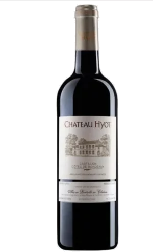 Chateau Hyot Castillon Cotes De Bordeaux 2019