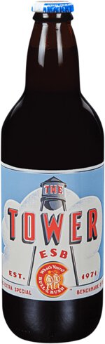 Bull And Bush The Tower ESB