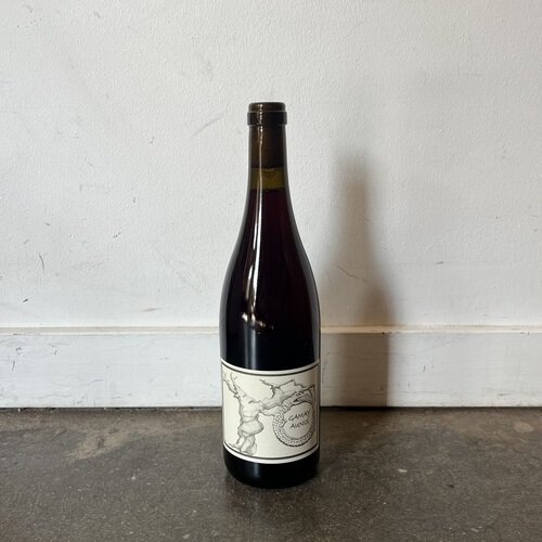 Jean-Christophe Garnier, Gamay-Aunis 2024