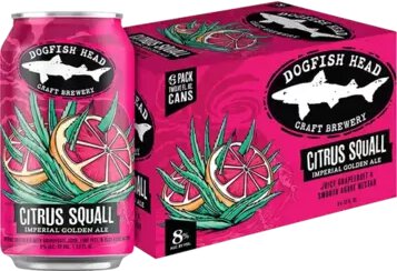 Dogfish Head Citrus Squall Cans