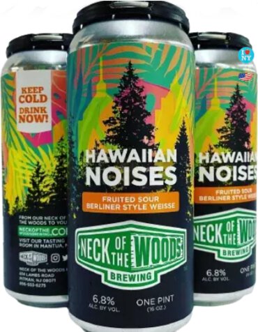 Neck Of The Woods Hawaiian Noises 2pk 16oz Cans