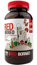 Bumble Bee Red Borneo 300 Count