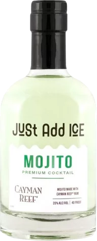 Just Add Ice Mojito