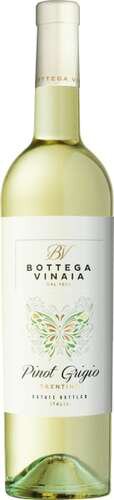 Bottega Vinaia Pinot Grigio