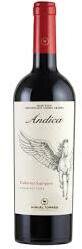 Miguel Torres Andica Organic Cabernet Sauvignon