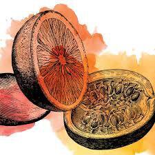 Edmund's Oast Sour Mango Orange Passionfruit