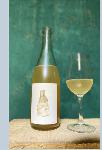 Jorge Cotal Muscat Pet Nat 2024 750mL