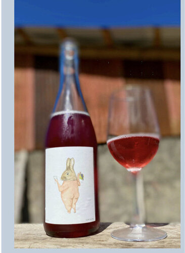 Jorge Cotal Pais Pet Nat 2024 750mL