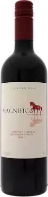 Magnifico Cab Merlot