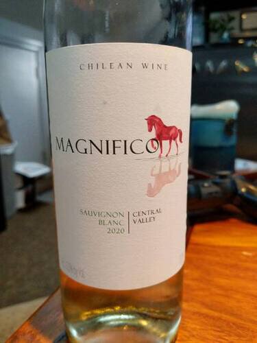 Magnifico Sauvignon Blanc Central Valley