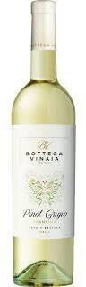 Bottega Vinaia Pinot Grigio