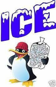 ICE CUBES 7LB BAGS
