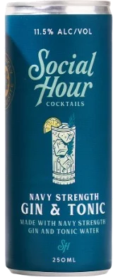 Social Hour Cocktails Gin & Tonic Can