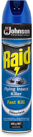 Raid Flying Insct Klr Ss Each