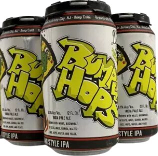 Departed Soles Bumper Hops 4pk 12oz Can (GF)