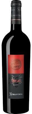 Termes By Numanthia 750ml