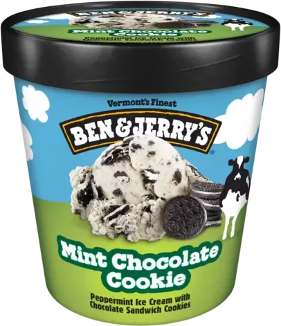 Ben & Jerry's Mint Chocolate Cookie Ice Cream