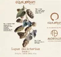 Equilibrium Brewery Lupus Salictarius