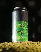 Finback Something Eggers Special Riwaka