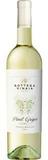 Bottega Vinaia Pinot Grigio