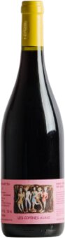 Les Sablonnettes Les Copines Aussi Gamay Chenin Vin Rouge Vdf