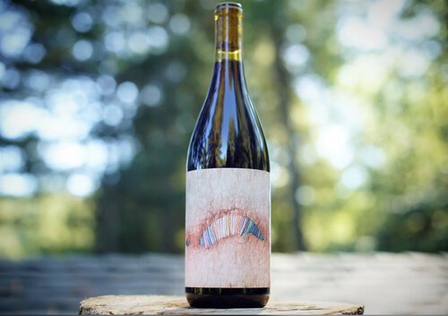 Ashanta Under Currents Old Vine Carignan