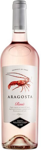 Aragosta Rose Santa Maria La Palma