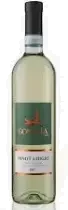 Gondola Pinot Grigio