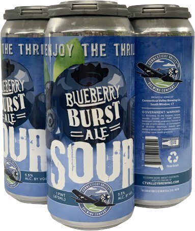 Connecticut Valley Blueberry Burst Sour Ale 4pk Can