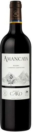 CARO Amancaya