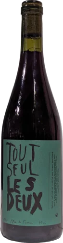 Tout Seul Les Deux Simon Rouillard