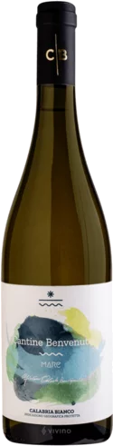 Pech Des Cades Pinot Noir France