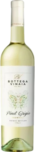 Bottega Vinaia Pinot Grigio