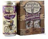 Sociable Cider Werks Training Wheels Hazy Blueberry Single