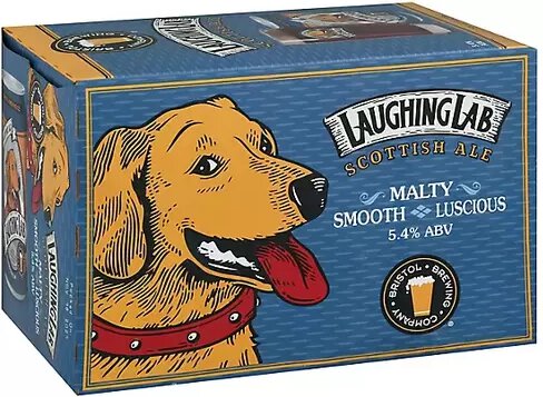 Bristol Laughing Lab