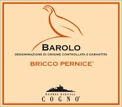 Elvio Cogno Ravera Bricco Pernice Barolo