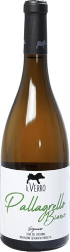 Il Verro Pallagrello Bianco