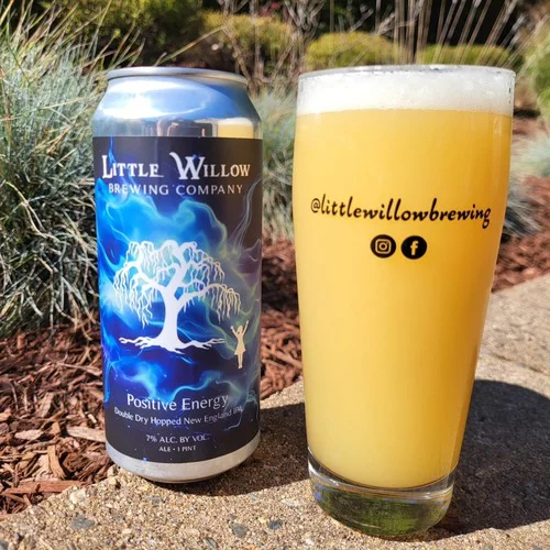 Little Willow Positive Energy