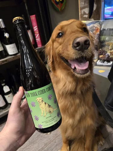 New York Cider Company Aster
