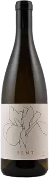 Sentium Wines Mendocino Sauvignon Blanc