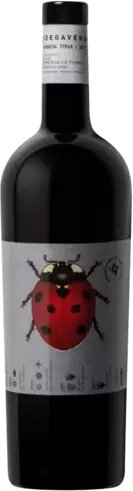 Bodegas San Valero Verde Garnacha Syrah