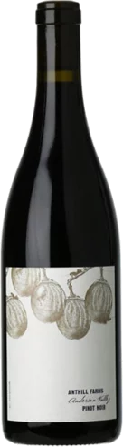 Anthill Farms Pinot Noir Anderson Valley 2022