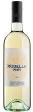 Modello Pinot Grigio Delle Venezie Sc