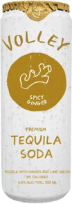 Volley Spicy Ginger – 12oz can