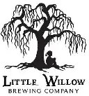 Little Willow Brewing Co. Positive Energy