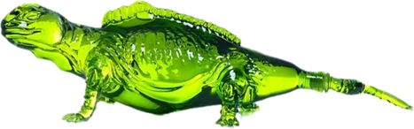 Don Chinto Tequila Reposado Iguana Green