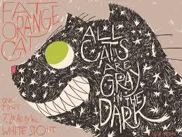 Fat Orange Cat All Cats Are Grey In The Dark White Stout